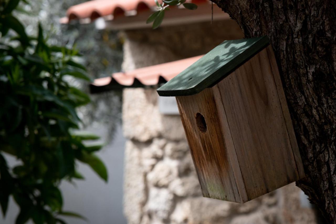Casa Do Guardado Villa Monsanto Exterior photo